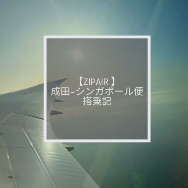【ZIPAIR 成田ーシンガポール便】スタンダードシート搭乗記！気になる機内・座席の様子