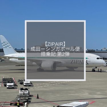 【ZIPAIR 成田ーシンガポール便】搭乗記第2弾！大失敗した受託手荷物の注意点とその他のオプション